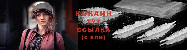 кокс Алексин