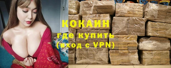 кокс Алексин