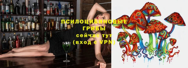 Альфа ПВП Алексеевка