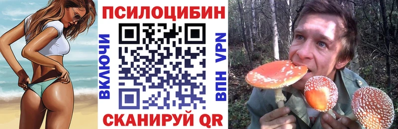 купить наркоту  Лодейное Поле  Галлюциногенные грибы Psilocybe 